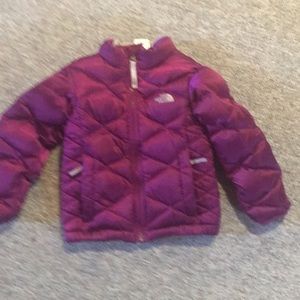 Beautiful Purple Northface 550 Puffer jacket